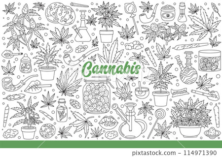 Cannabis in leaves or buds for smoking for relaxation or medical purposes. Hand drawn doodle Cannabis in leaves or buds for smoking for relaxation or medical purposes. Hand drawn doodle 114971390