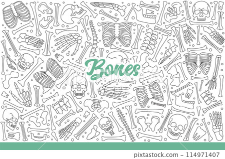 Bones of dead person or skeleton taken apart piece by piece to study anatomy. Hand drawn doodle Bones of dead person or skeleton taken apart piece by piece to study anatomy. Hand drawn doodle 114971407