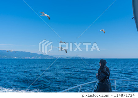 A beautiful woman feeding seagulls flying alongside a sailing ship A beautiful woman feeding seagulls flying alongside a sailing ship 114971724