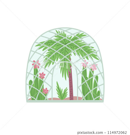 Tropical palm tree in dome greenhouse vector illustration 114972062