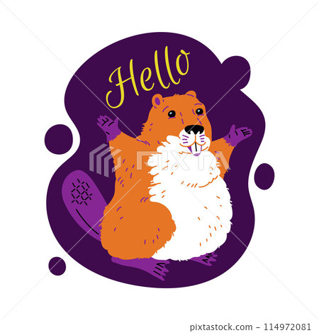 Cute beaver greeting with lettering Hello vector childish design card, cartoon funny wild animal rodent raised paws up 114972081