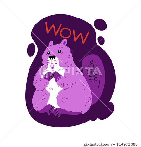 Vector illustration of a surprised cute beaver with purple coloring cartoon flat style. Vector illustration of a surprised cute beaver with purple coloring cartoon flat style. 114972083