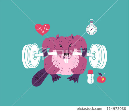 Cartoon vector graphics set of a beaver athlete with barbell timer, and water bottle 114972088