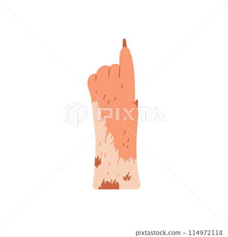 Cute animal leg, pet furry paw points up with finger, dog fluffy paw gesture, vector cartoon mammal brown hand sign Cute animal leg, pet furry paw points up with finger, dog fluffy paw gesture, vector cartoon mammal brown hand sign 114972118