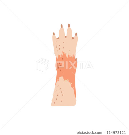Vector illustration with a dog paw with a beautiful color on a white background 114972121