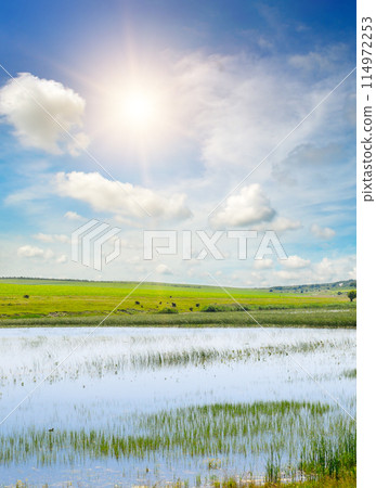 Landscape with a beautiful lake blue sky. Vertical photo Landscape with a beautiful lake blue sky. Vertical photo 114972253