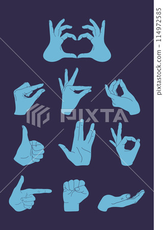 Set of hands gestures on a blue background. Making heart, OK sign, thumb up, measuring gesture, cupped hand, fist. Vector illustration 114972585
