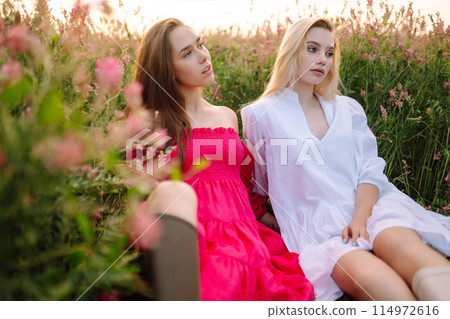 Two Beautiful woman in a field. Nature, fashion, vacation and lifestyle. Two Beautiful woman in a field. Nature, fashion, vacation and lifestyle. 114972616