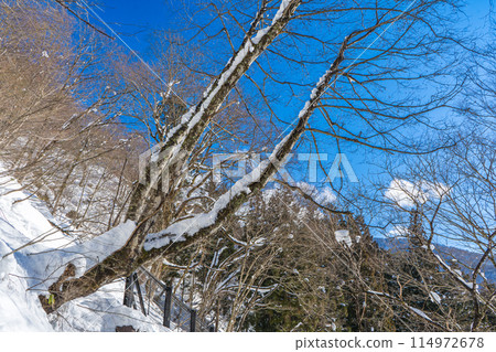 日本岐阜縣白川鄉的雪景 114972678