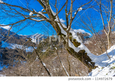 日本岐阜縣白川鄉的雪景 114972679