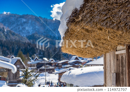 日本岐阜縣白川鄉的茅草屋頂以其合掌造風格而聞名 114972707