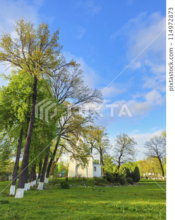 Green lawn with trees in front of the temple. Green lawn with trees in front of the temple. 114972873