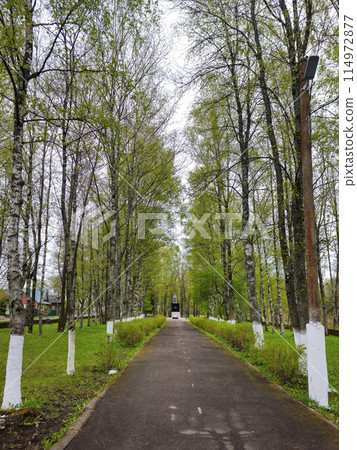 Green spring alley leads to the Monument to Tutaev soldiers in Tutaev 114972877
