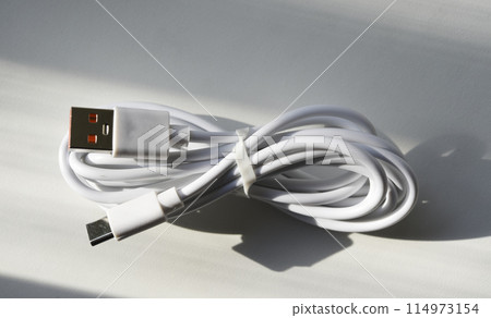 USB cable on a white background. A white prod for the phone. 114973154