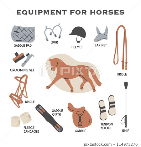 Equipment for horses infographic educational. Stock Illustration 114973270 PIXTA