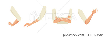 Woman Arm and Hand Gesture as Character Constructor with Separated Body Part Vector Set Woman Arm and Hand Gesture as Character Constructor with Separated Body Part Vector Set 114973584