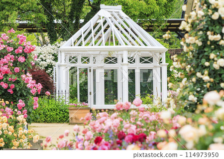 Matsusaka Agricultural Park Bell Farm English Garden in full bloom 114973950