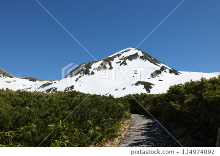 A cobblestone hiking trail from Tateyama Murododaira to Ichinokoshi Jodoyama in May, with snow still remaining. 114974092