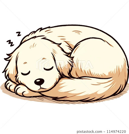 金毛獵犬睡覺 114974220