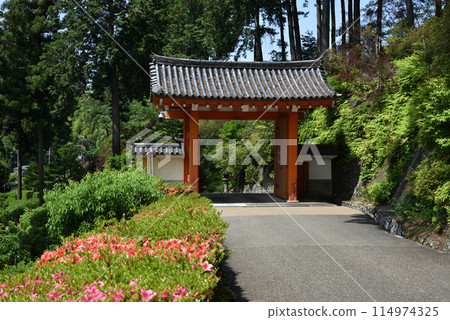 三室戶寺三門與小月 114974325