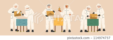 Men and women in beekeepers suit gathering honey at apiculture 114974737