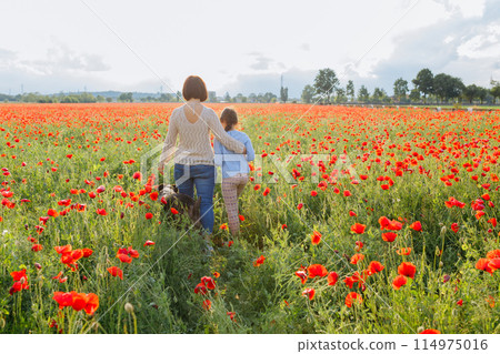 rear view of mother and daughter walking away in the poppy field and their dog following them rear view of mother and daughter walking away in the poppy field and their dog following them 114975016