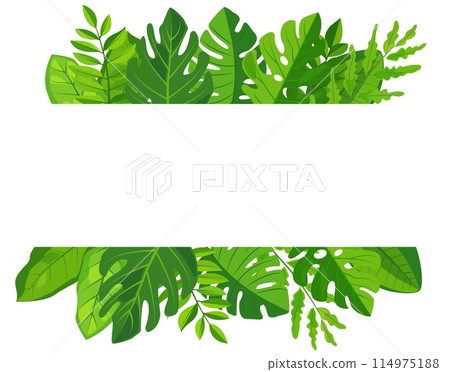 vector features a vibrant green leaves frame surrounding a blank white rectangular space perfect for mockups or copy space. lush foliage adds a touch of nature and freshness to any design vector features a vibrant green leaves frame surrounding a blank white rectangular space perfect for mockups or copy space. lush foliage adds a touch of nature and freshness to any design 114975188