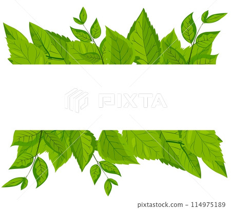 A vector featuring a square white frame embellished with vibrant green leaves. lush foliage surrounds the frame, creating a fresh, natural, and eco-friendly theme suitable. Mockup, template 114975189