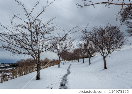 Snowy winter view of Daijouji Hill Park, Japan 114975335