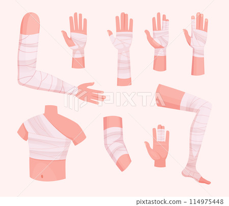 Bandaged body. Human injury protection different body parts bandaged legs hands arms head exact vector cartoon anatomy pictures Bandaged body. Human injury protection different body parts bandaged legs hands arms head exact vector cartoon anatomy pictures 114975448