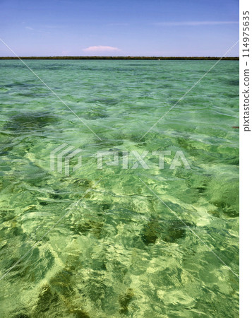 Clear waters of Biscayne National Park, Florida on sunny summer day. 114975635