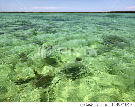 Clear waters of Biscayne National Park, Florida on sunny summer day. 114975640
