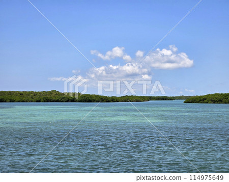Clear waters of Biscayne National Park, Florida on sunny summer day. 114975649