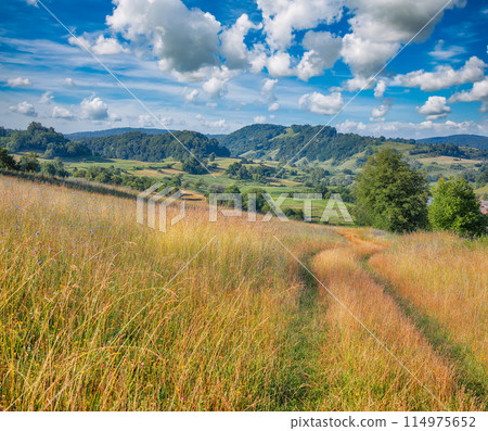 Amazing summer landscape nier Biertan in Romania. Amazing summer landscape nier Biertan in Romania. 114975652