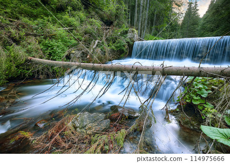 Amazing view of cascede near Bride's Veil / Valul Miresei Waterfall. Amazing view of cascede near Bride's Veil / Valul Miresei Waterfall. 114975666