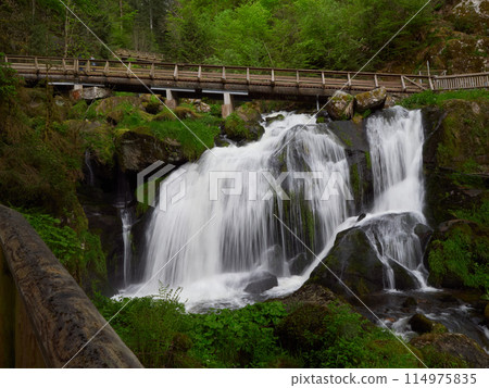 Triberg waterfalls, Germany 114975835