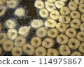 deep-fried, pastry, confectionery 114975867