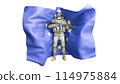 Soldier in Camouflage in Front of the European Union Flag Waving 114975884