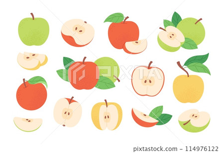 Cartoon apples fruits. Apple slices and whole, fresh garden fruit. Red, green and yellow raw vegan ingredients for pie or jam, racy vector food clipart Cartoon apples fruits. Apple slices and whole, fresh garden fruit. Red, green and yellow raw vegan ingredients for pie or jam, racy vector food clipart 114976122