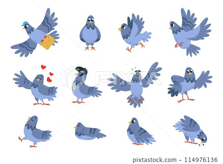 Funny pigeon set. Isolated pigeons, birds in different poses with emotions. Cartoon urban bird eating, sleeping, flying, classy vector characters Funny pigeon set. Isolated pigeons, birds in different poses with emotions. Cartoon urban bird eating, sleeping, flying, classy vector characters 114976136