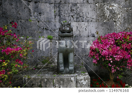 Shisa in Naha City Shisa in Naha City 114976168