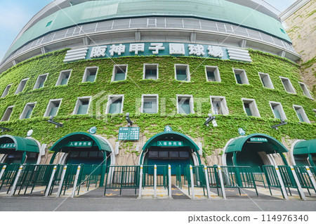 阪神甲子園棒球 114976340