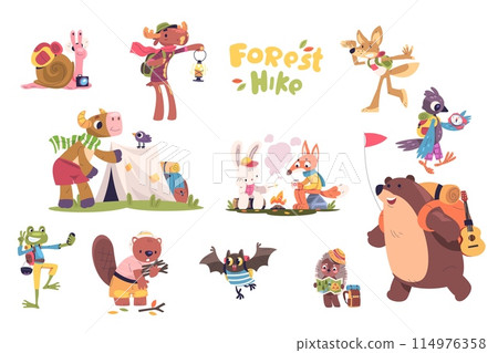 Cartoon animals hiking. Cute forest animal hike, summer camping books store for kids travel picnic, funny wildlife characters with backpack camp stickers classy vector illustration Cartoon animals hiking. Cute forest animal hike, summer camping books store for kids travel picnic, funny wildlife characters with backpack camp stickers classy vector illustration 114976358