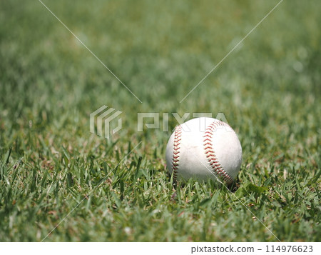 棒球(硬球) 棒球(硬球) 114976623
