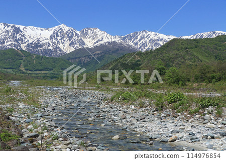 五月的白馬：北阿爾卑斯山，從山腳下看到殘雪 114976854