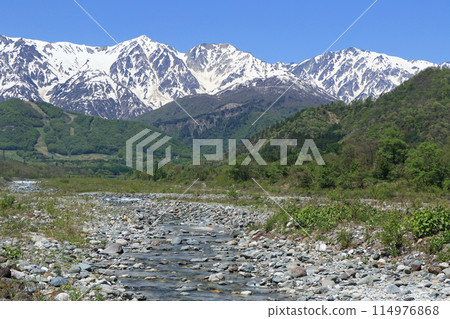 May in Hakuba: Snow-covered Northern Alps seen from the foot of the mountain May in Hakuba: Snow-covered Northern Alps seen from the foot of the mountain 114976868