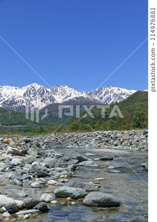 五月的白馬：北阿爾卑斯山，從山腳下看到殘雪 114976881
