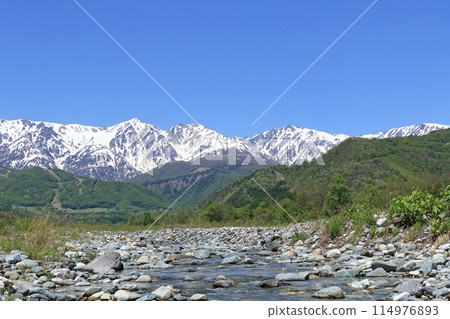 May in Hakuba: Snow-covered Northern Alps seen from the foot of the mountain 114976893