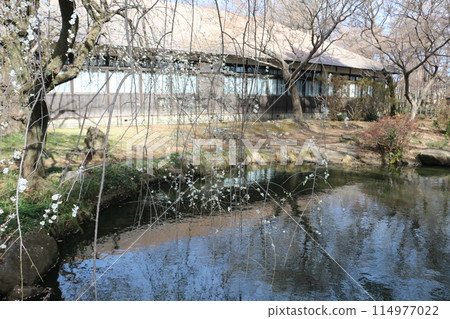 Early Spring at Yuenkan Early Spring at Yuenkan 114977022