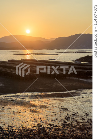 夕陽西下,瀨戶內海一座島嶼的陰影下,島嶼上排列著牡蠣架 夕陽西下,瀨戶內海一座島嶼的陰影下,島嶼上排列著牡蠣架 114977075